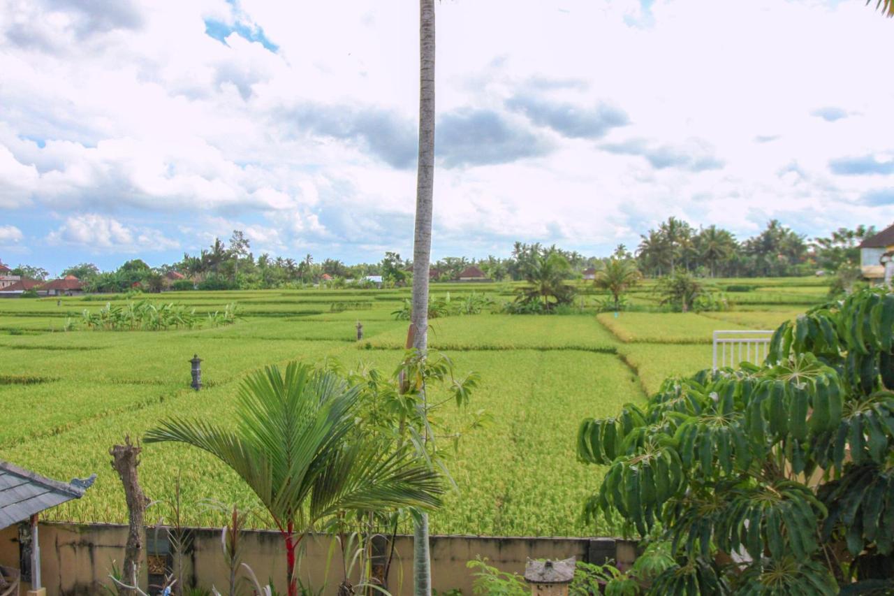 Kubu Sari Ubud Ngoại thất bức ảnh