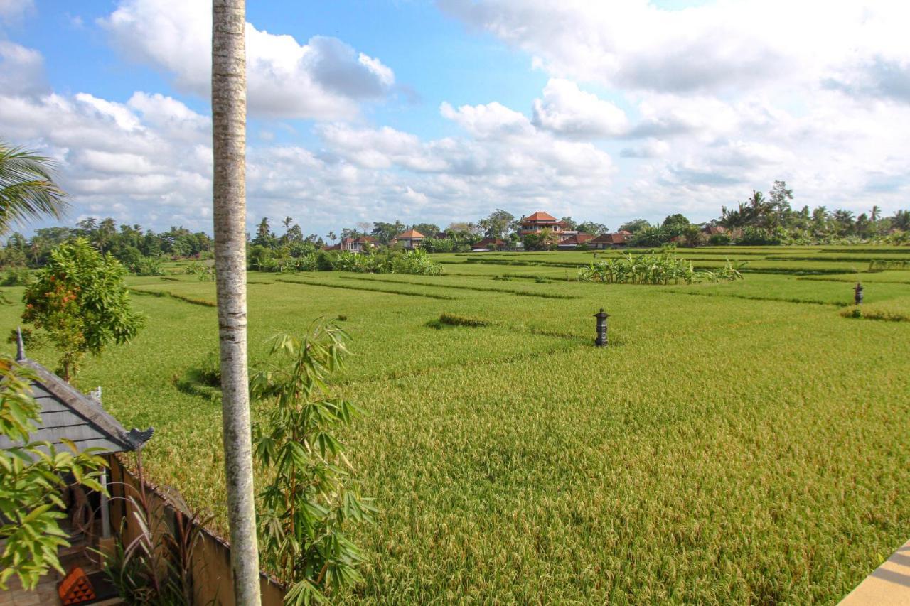 Kubu Sari Ubud Ngoại thất bức ảnh